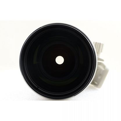 【中古】Canon EF 35-350mm f/3.5-5.6L USM フード ケース ズーム カメラレンズ 交換レンズ キャノン