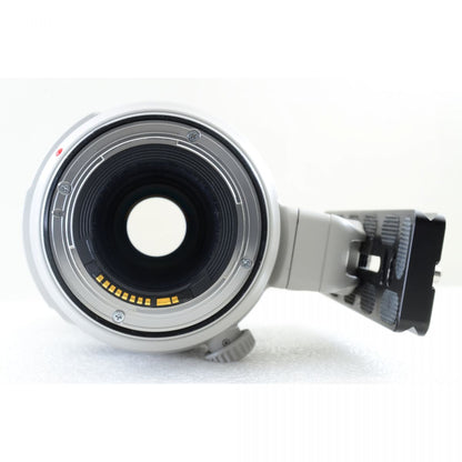 【中古】Canon EF 100-400mm f/4.5-5.6L IS II USM 望遠ズーム Lレンズ キヤノン