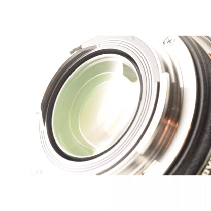 【中古】Canon EF 70-300mm f4.5-5.6 DO IS USM 望遠ズームレンズ フード付 キヤノン
