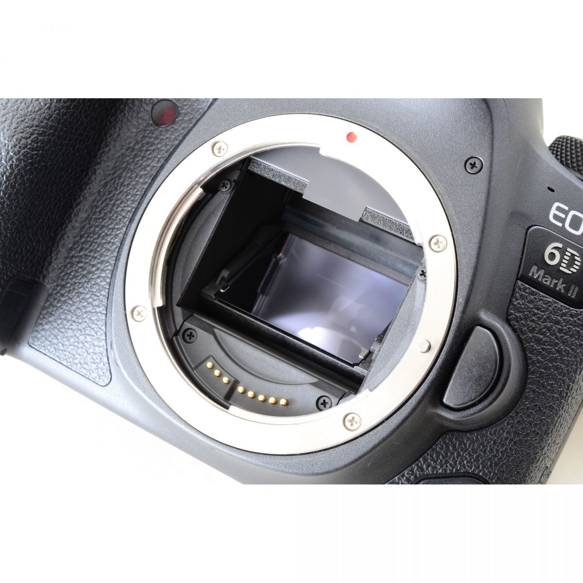 【中古】Canon EOS 6D Mark II 26.2MP 一眼レフ デジタルカメラ キヤノン