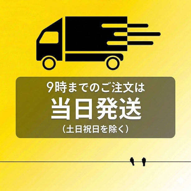 【中古】Nikon Ai NIKKOR 50mm f/1.4 標準MF単焦点レンズ